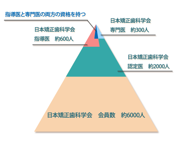 学会構成図