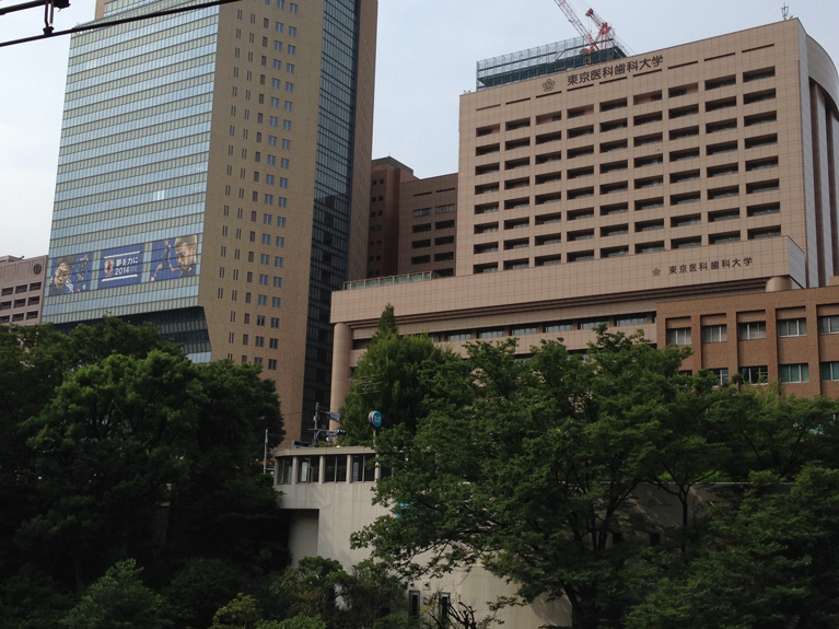 東京医科歯科大学のシティドレッシング