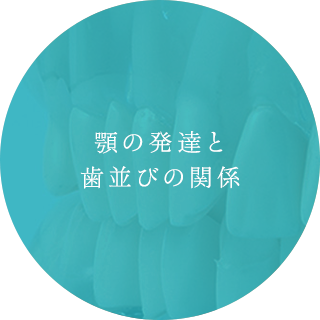 顎の発達と歯並びの関